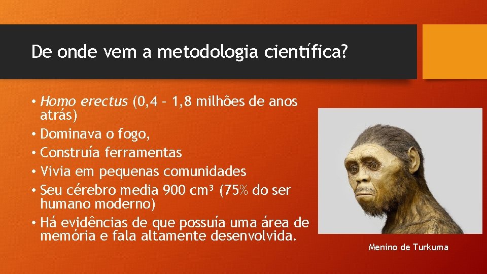 De onde vem a metodologia científica? • Homo erectus (0, 4 – 1, 8