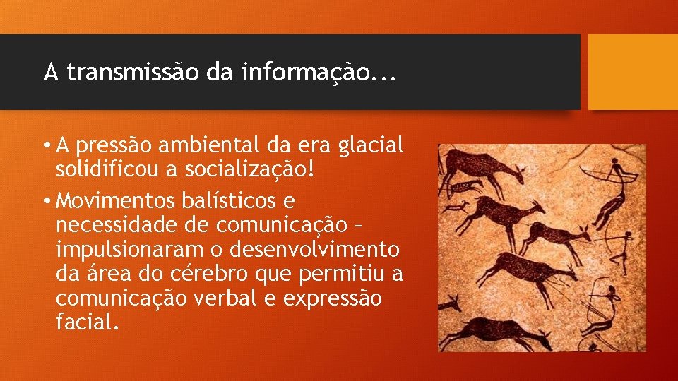 A transmissão da informação. . . • A pressão ambiental da era glacial solidificou