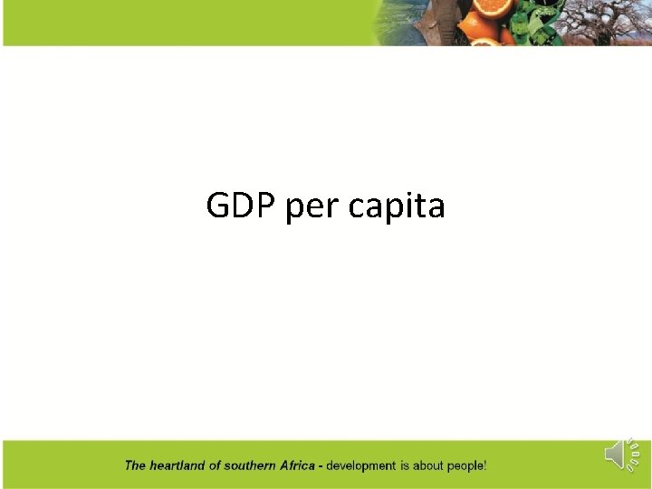 GDP per capita 