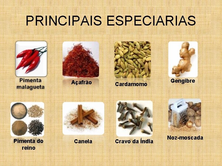 PRINCIPAIS ESPECIARIAS Açafrão Pimenta do reino Canela Cardamomo Cravo da Índia Gengibre Noz-moscada 