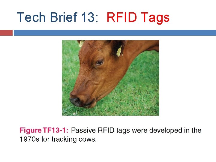Tech Brief 13: RFID Tags Tech Brief 13: RFID Tags