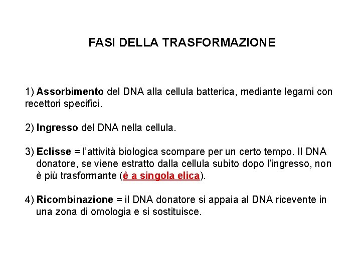 FASI DELLA TRASFORMAZIONE 1) Assorbimento del DNA alla cellula batterica, mediante legami con recettori