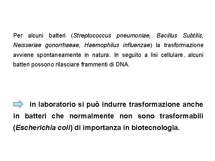 Per alcuni batteri (Streptococcus pneumoniae, Bacillus Subtilis, Neisseriae gonorrhaeae, Haemophilus influenzae) la trasformazione avviene