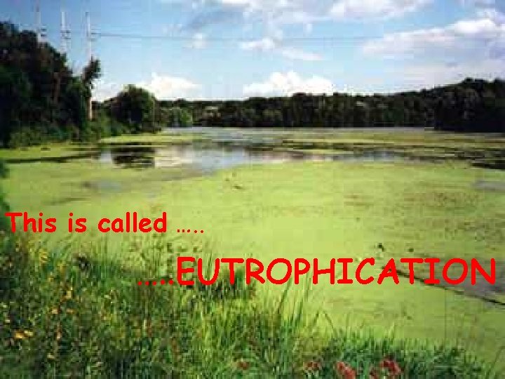 The process of Eutrophication This is called …. . EUTROPHICATION 