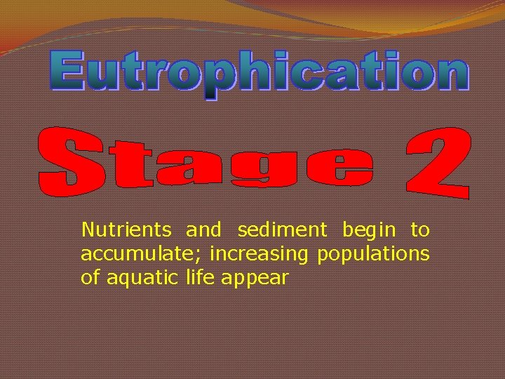 Nutrients and sediment begin to accumulate; increasing populations of aquatic life appear 