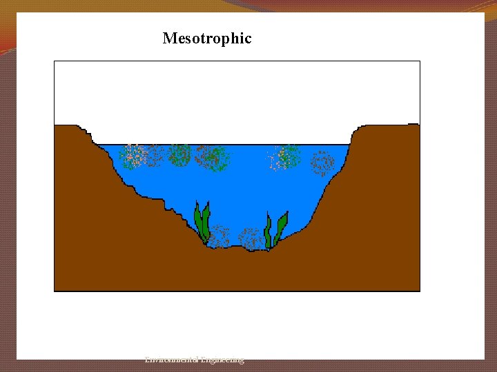 Mesotrophic Environmental Engineering 