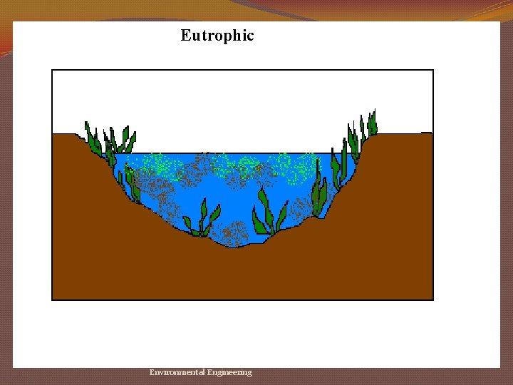 Eutrophic Environmental Engineering 