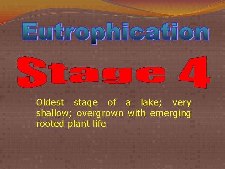 Oldest stage of a lake; very shallow; overgrown with emerging rooted plant life 