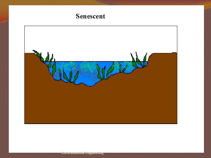 Senescent Environmental Engineering 