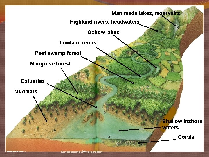 Man made lakes, reservoirs Man. Highland rivers, headwaters Oxbow lakes Lowland rivers Peat swamp