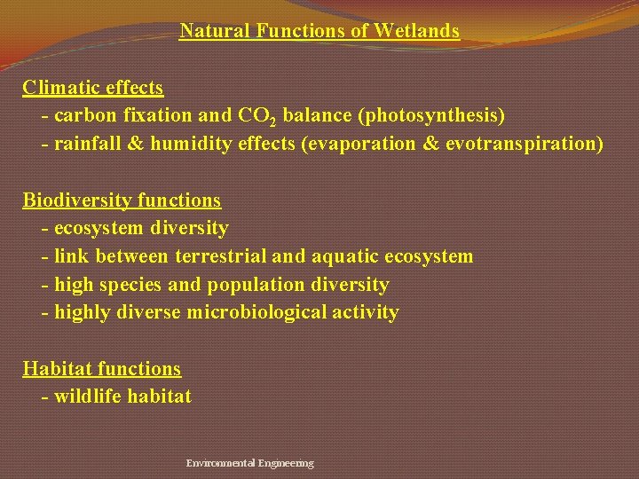 Natural Functions of Wetlands Climatic effects - carbon fixation and CO 2 balance (photosynthesis)