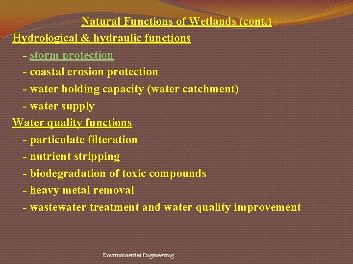 Natural Functions of Wetlands (cont. ) Hydrological & hydraulic functions - storm protection -