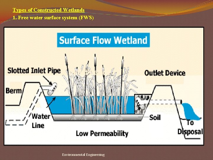 Types of Constructed Wetlands 1. Free water surface system (FWS) Environmental Engineering 