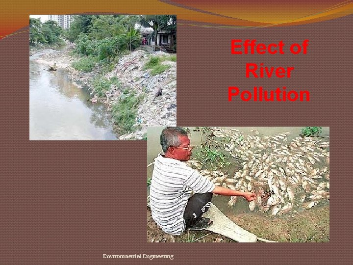 Effect of River Pollution Environmental Engineering 
