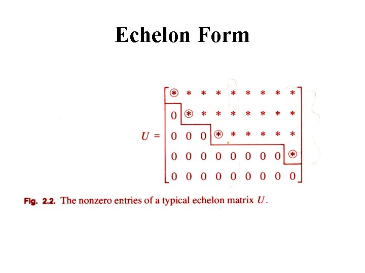 Echelon Form 