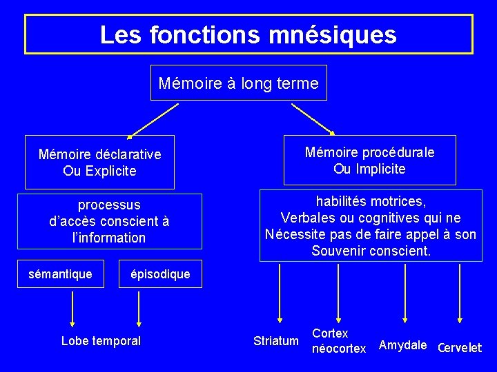 Les fonctions mnésiques Mémoire à long terme Mémoire procédurale Ou Implicite Mémoire déclarative Ou