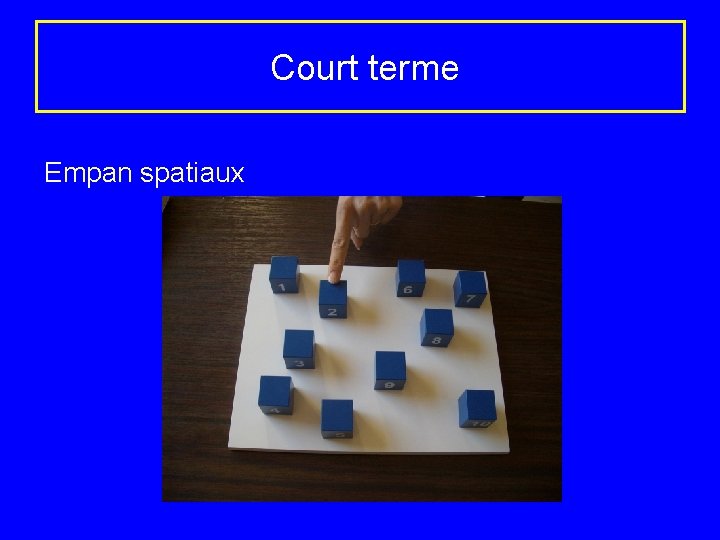  Court terme Empan spatiaux 