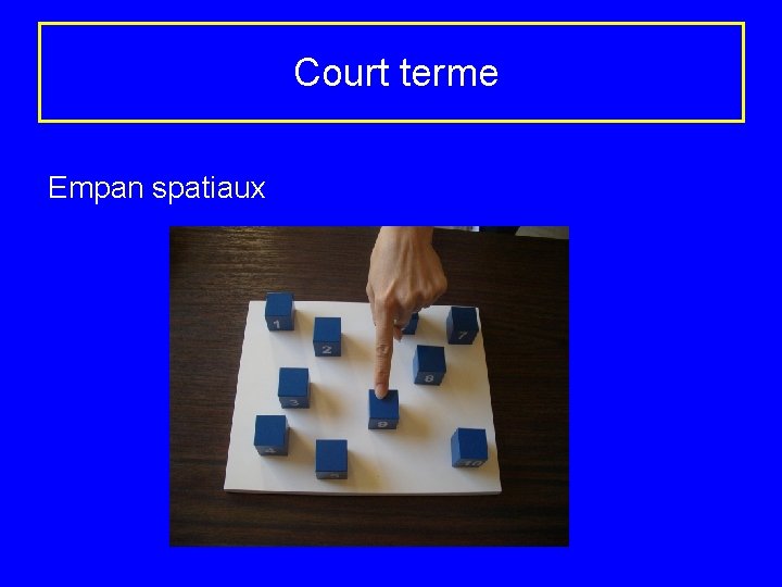  Court terme Empan spatiaux 