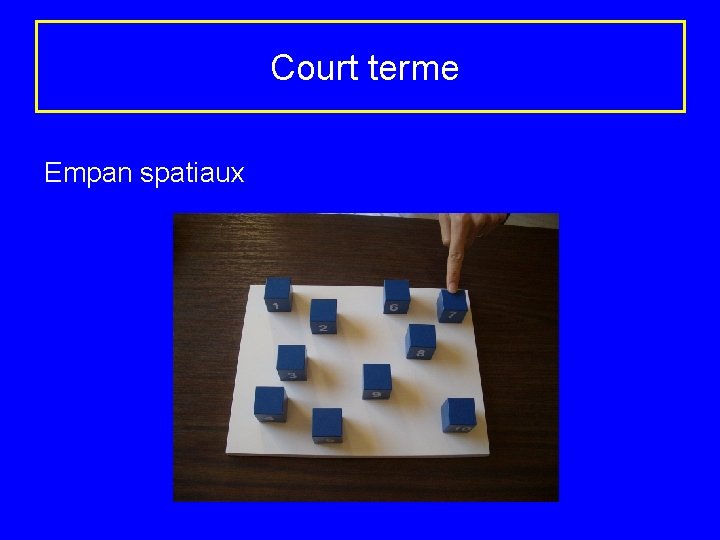 Court terme Empan spatiaux 