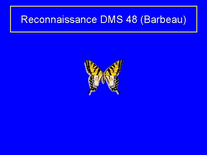 Reconnaissance DMS 48 (Barbeau) 