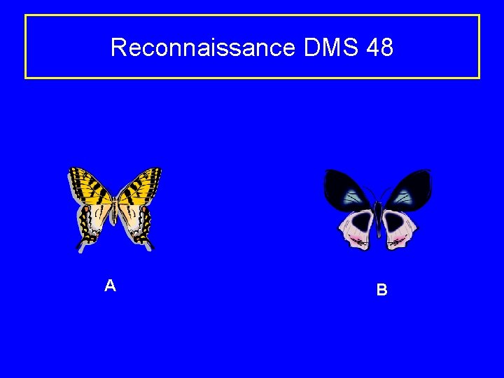 Reconnaissance DMS 48 A B 