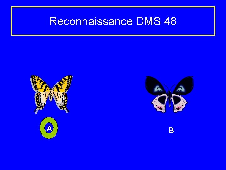 Reconnaissance DMS 48 A B 