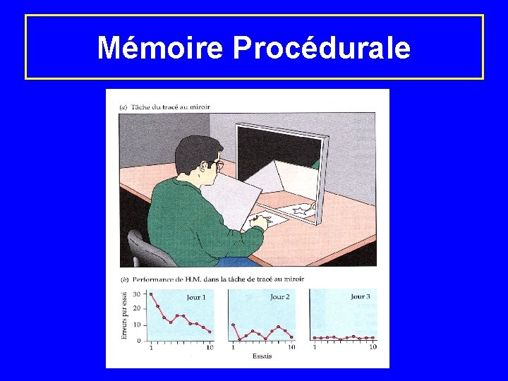 Mémoire Procédurale 