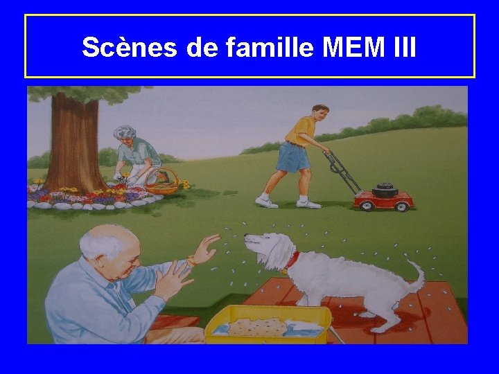 Scènes de famille MEM III 