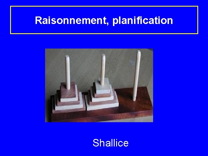 Raisonnement, planification Shallice 