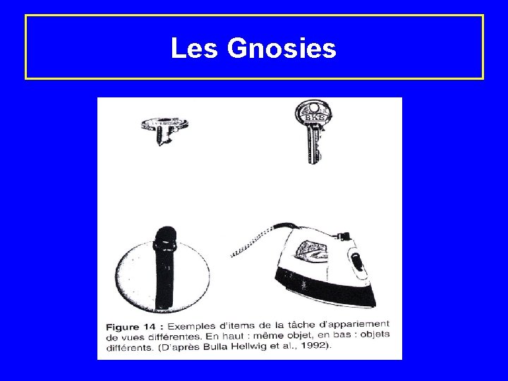 Les Gnosies 