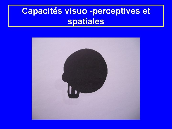 Capacités visuo -perceptives et spatiales 