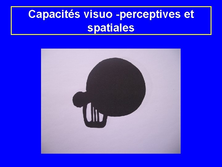 Capacités visuo -perceptives et spatiales 