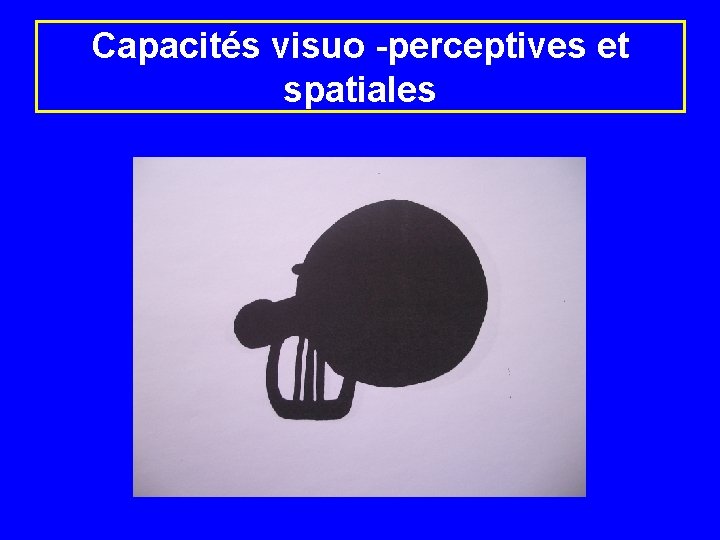 Capacités visuo -perceptives et spatiales 