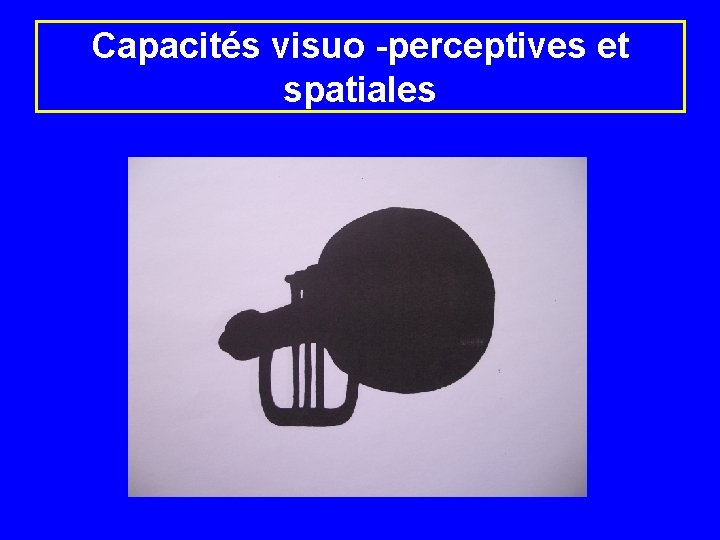 Capacités visuo -perceptives et spatiales 
