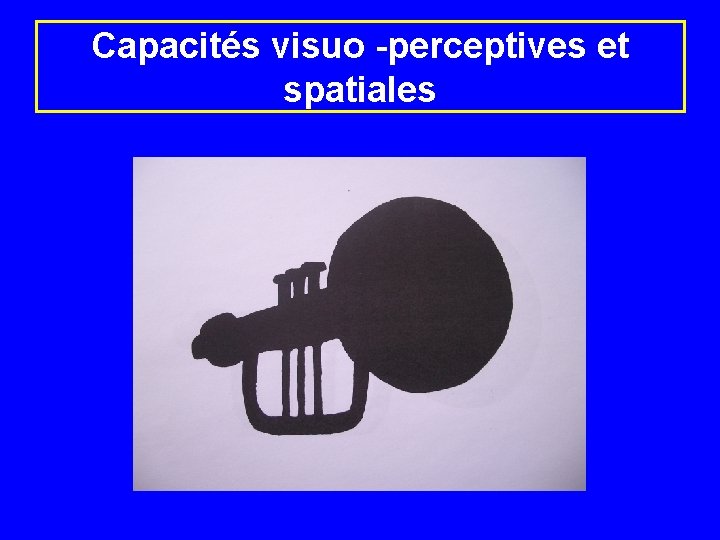 Capacités visuo -perceptives et spatiales 