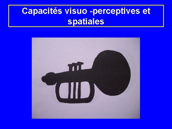 Capacités visuo -perceptives et spatiales 