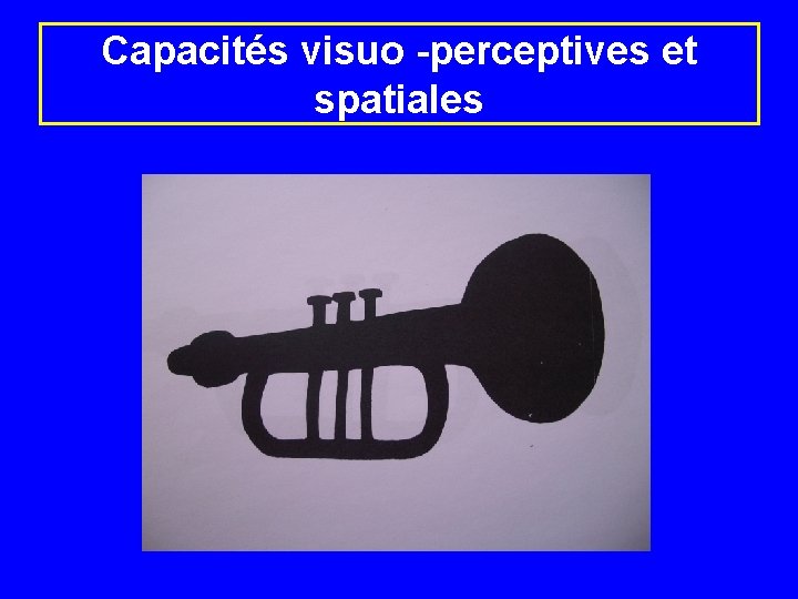 Capacités visuo -perceptives et spatiales 