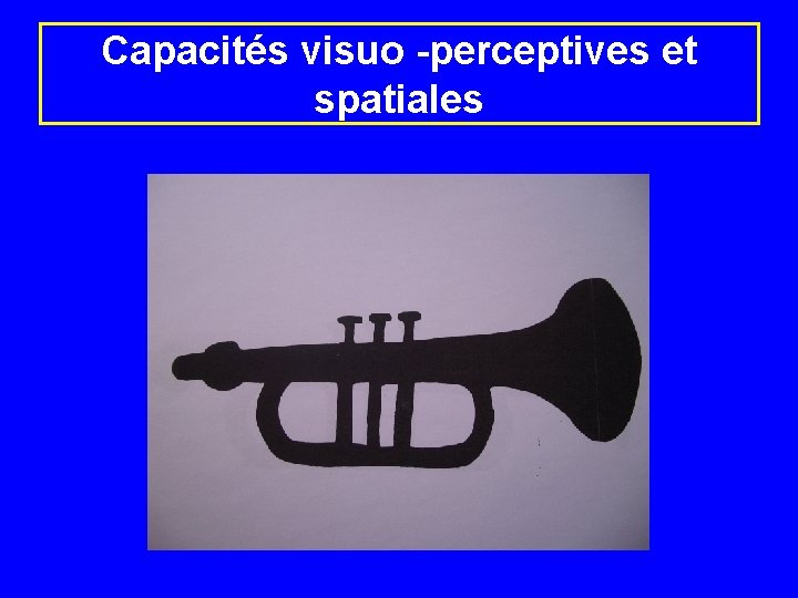 Capacités visuo -perceptives et spatiales 