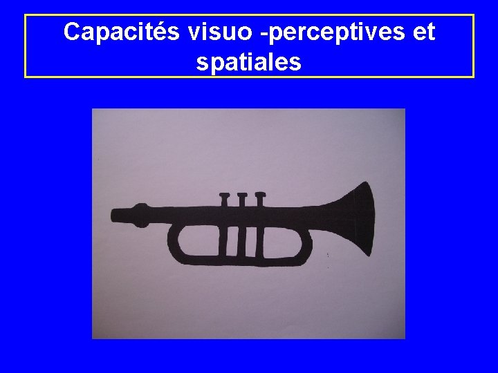 Capacités visuo -perceptives et spatiales 
