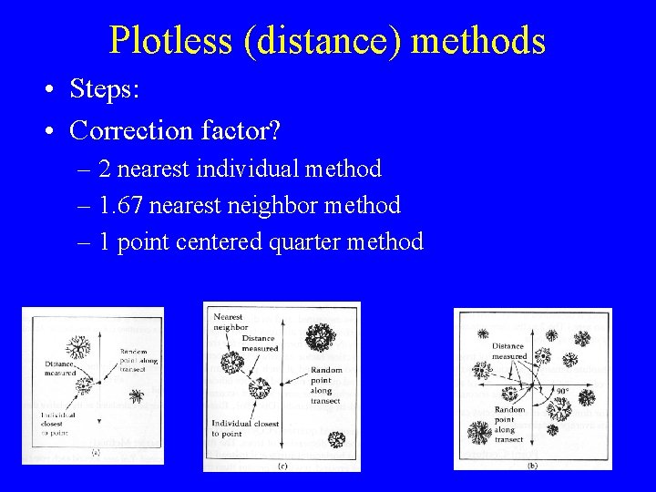 Plotless (distance) methods • Steps: • Correction factor? – 2 nearest individual method –