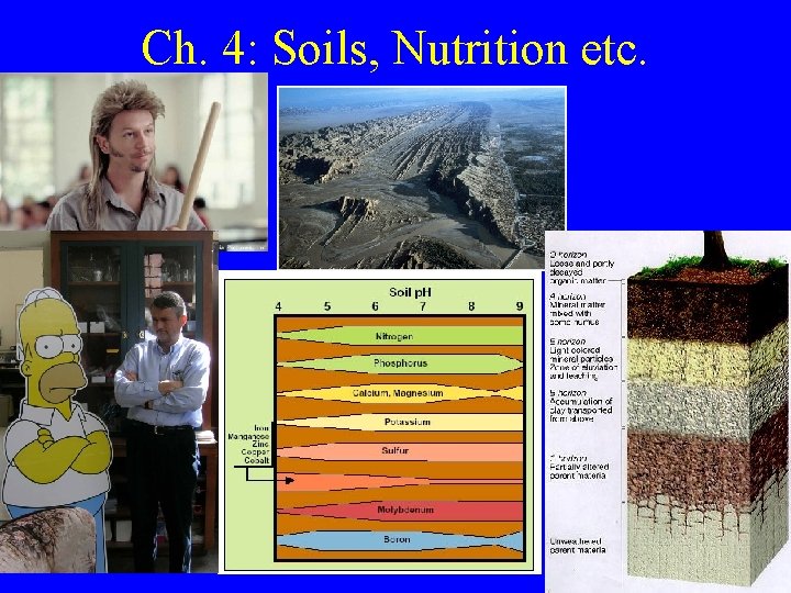 Ch. 4: Soils, Nutrition etc. 