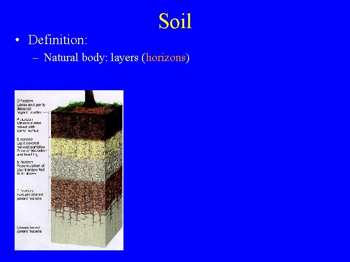  • Definition: Soil – Natural body: layers (horizons) 