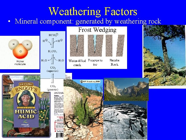 Weathering Factors • Mineral component: generated by weathering rock 