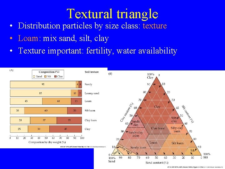 Textural triangle • Distribution particles by size class: texture • Loam: mix sand, silt,