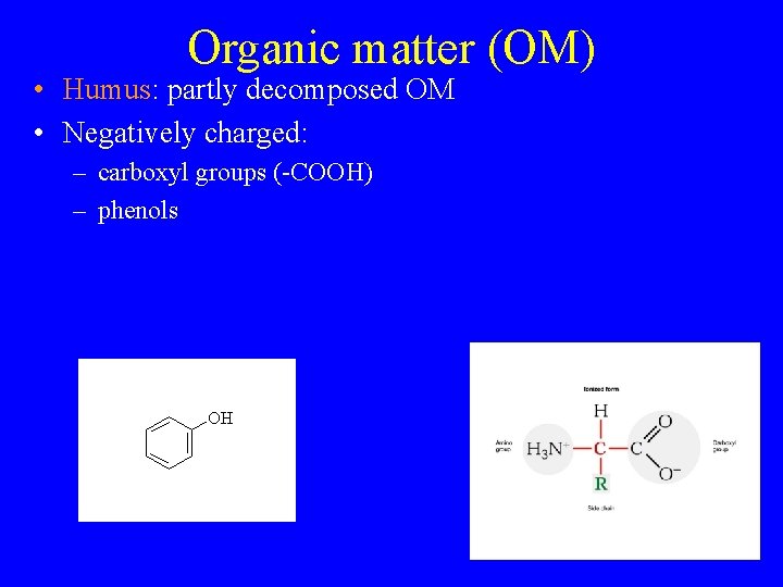 Organic matter (OM) • Humus: partly decomposed OM • Negatively charged: – carboxyl groups