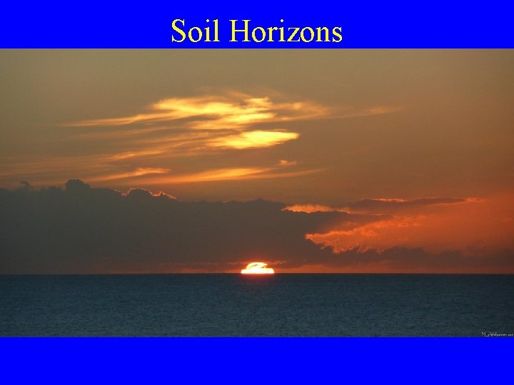 Soil Horizons 