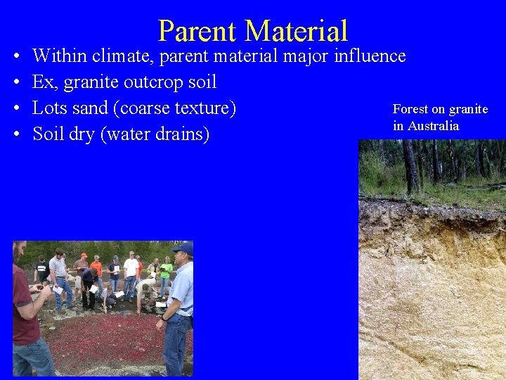  • • Parent Material Within climate, parent material major influence Ex, granite outcrop