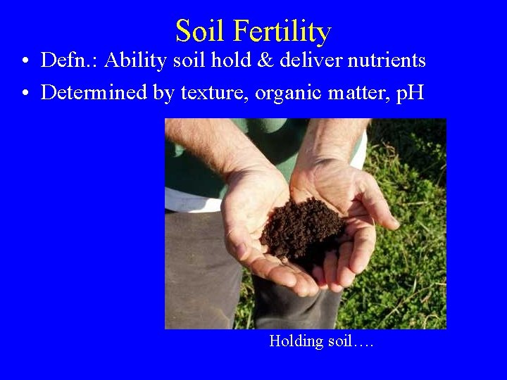 Soil Fertility • Defn. : Ability soil hold & deliver nutrients • Determined by