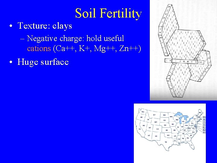  • Texture: clays Soil Fertility – Negative charge: hold useful cations (Ca++, K+,