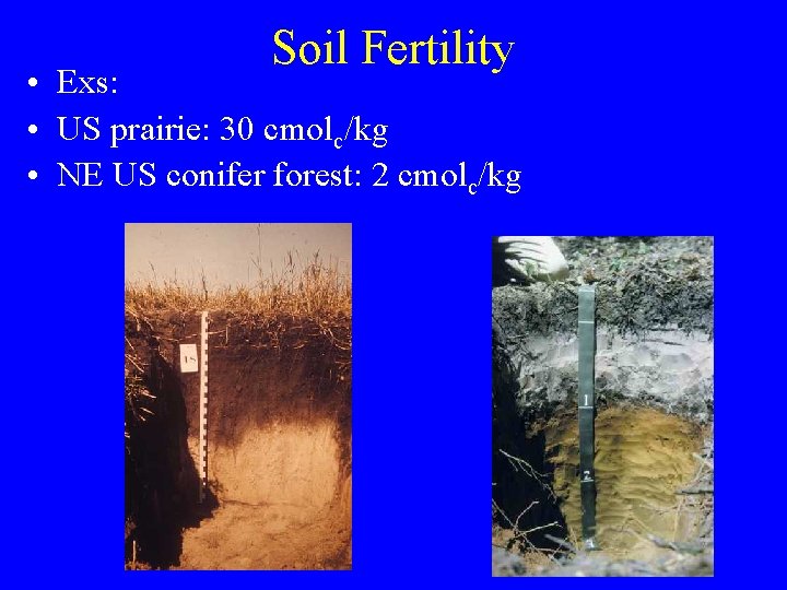 Soil Fertility • Exs: • US prairie: 30 cmolc/kg • NE US conifer forest: